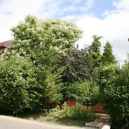 Guest house Fontana Vendeghaz *