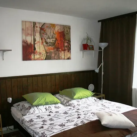 Fontana Vendeghaz Guest house *