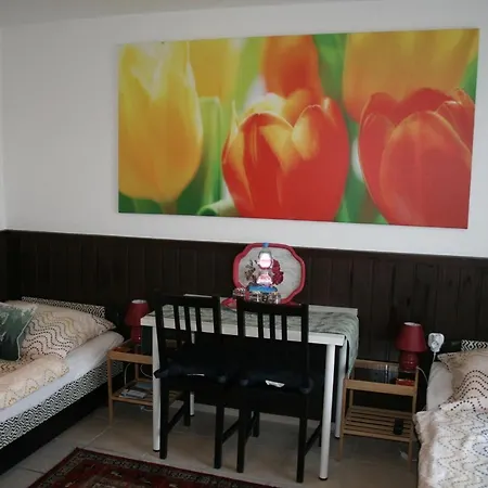 Fontana Vendeghaz Guest house Tat