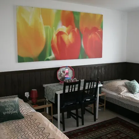 Fontana Vendeghaz Guest house *